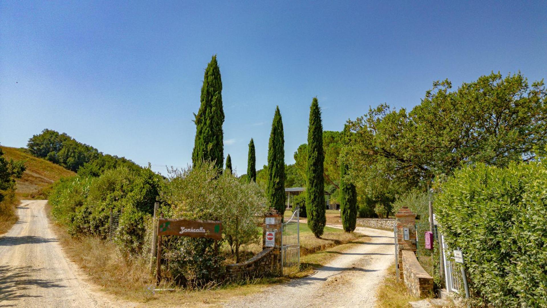 Ulivo-Chianti Charming Flat With Private Parking! Leilighet Asciano Eksteriør bilde